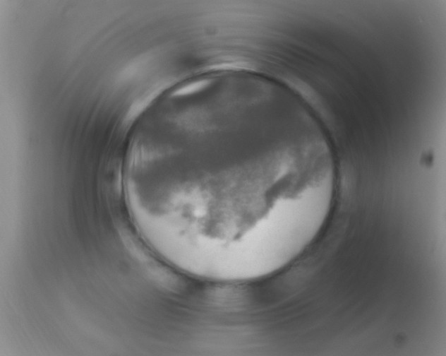 X0000113961274200910161955