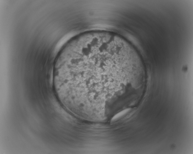 X0000113961275200910161955