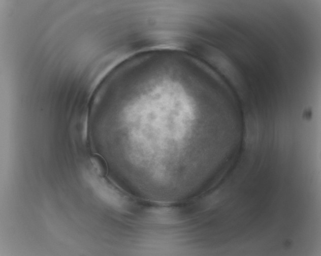 X0000113961276200910161955