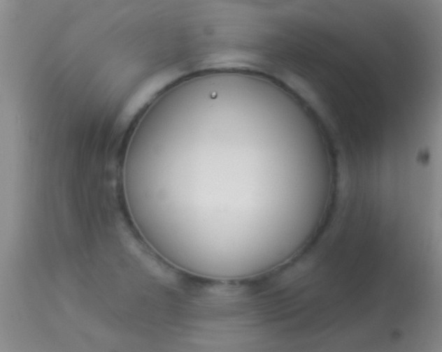 X0000113961277200910161955