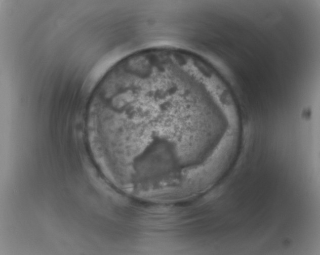 X0000113961279200910161955