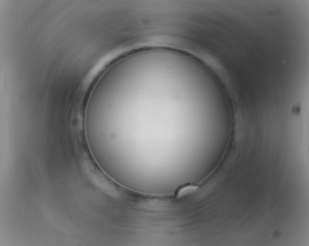 X0000113961280200910161955