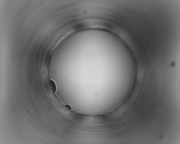 X0000113961281200910161955