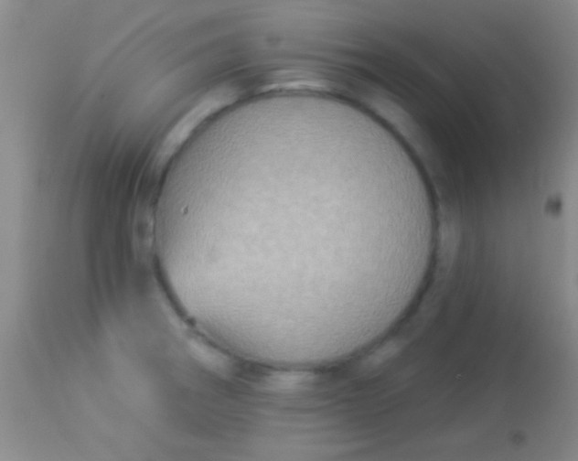 X0000113961282200910161955