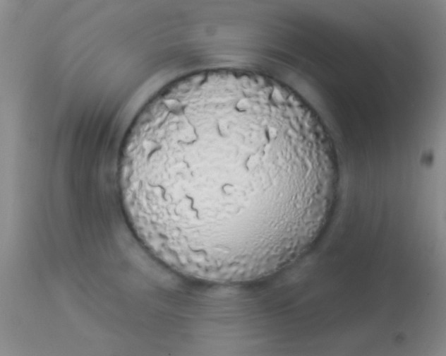 X0000113961283200910161955