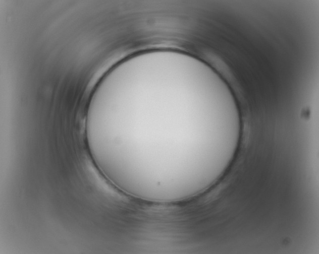 X0000113961284200910161955