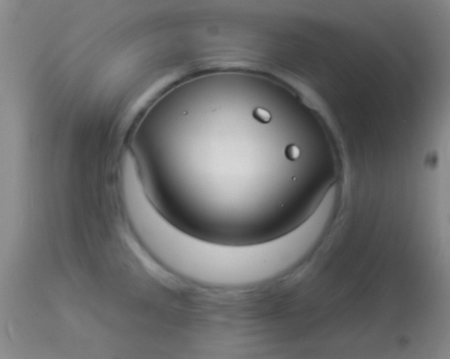 X0000113961285200910161955