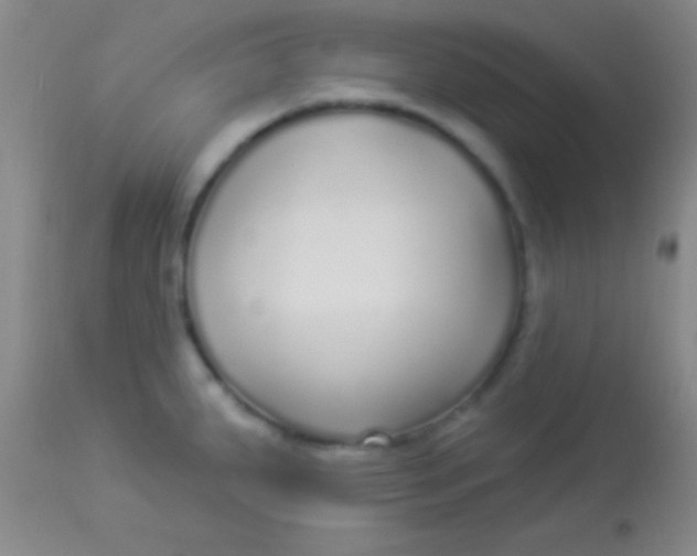 X0000113961287200910161955