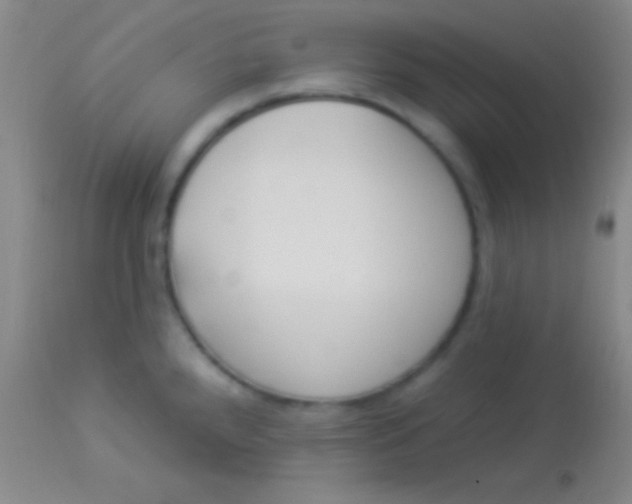 X0000113961288200910161955