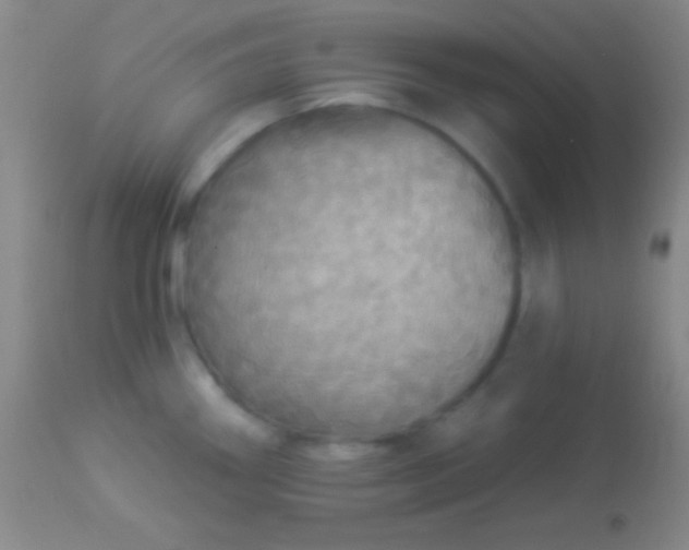 X0000113961290200910161955