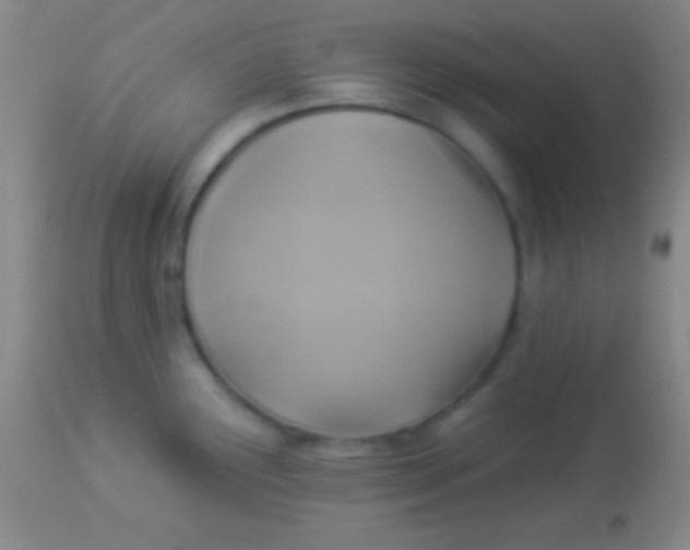 X0000113961291200910161955