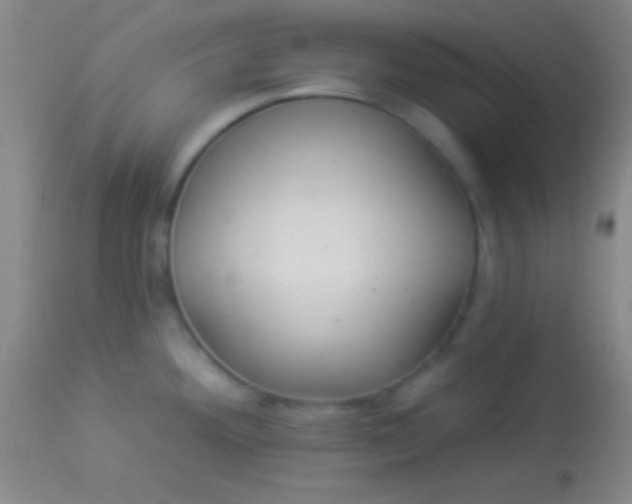 X0000113961292200910161954