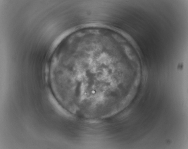 X0000113961295200910161954