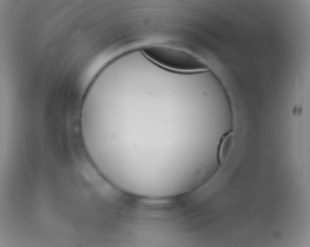 X0000113961296200910161954