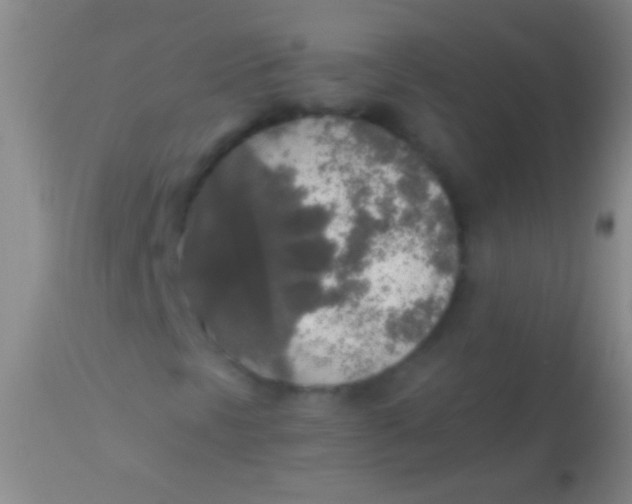 X0000113961297200910161954