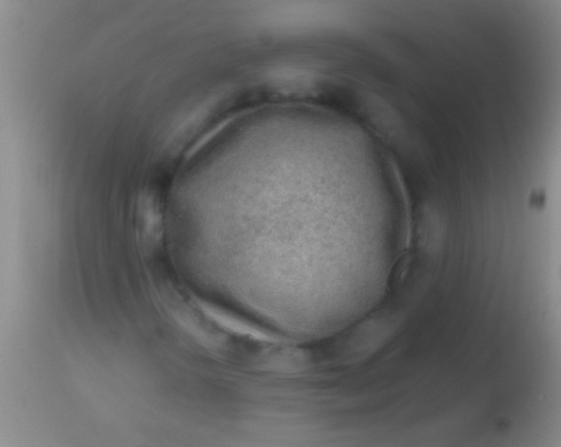 X0000113961298200910161954