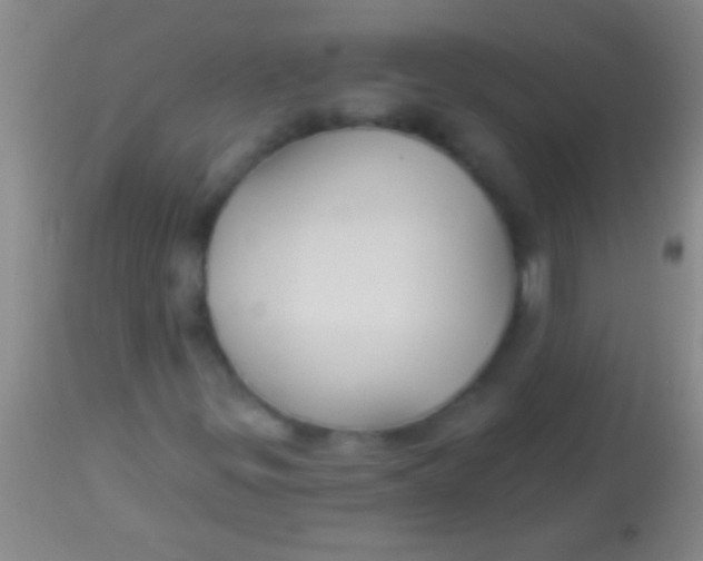 X0000113961299200910161954