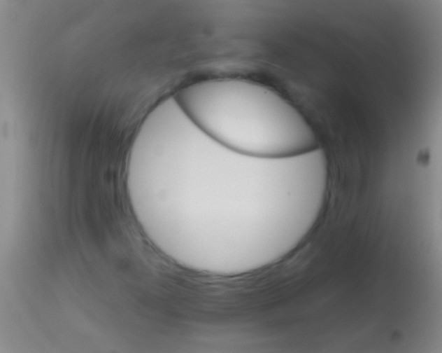 X0000113961300200910161954