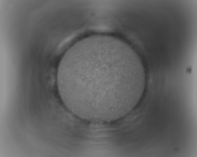 X0000113961301200910161954