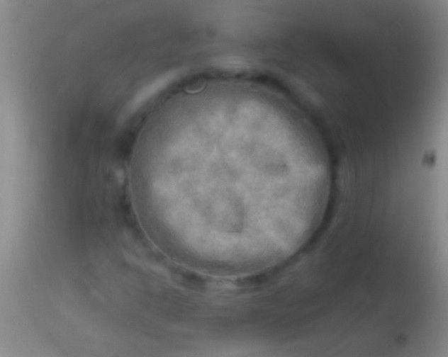 X0000113961302200910161954