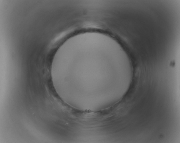 X0000113961303200910161954