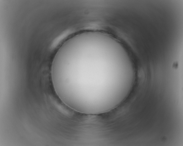 X0000113961304200910161954