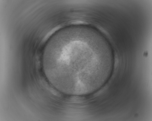 X0000113961305200910161954