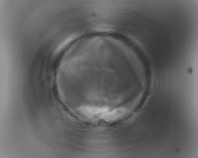 X0000113961306200910161954