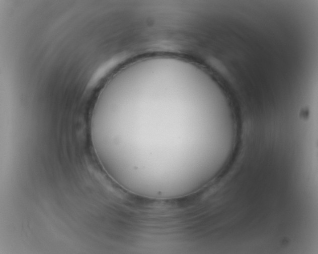 X0000113961307200910161954