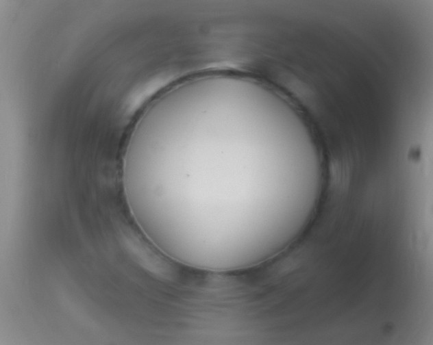 X0000113961308200910161954