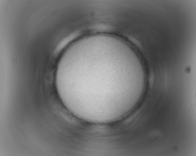 X0000113961309200910161954