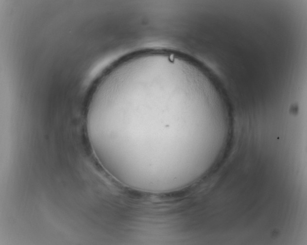 X0000113961311200910161954