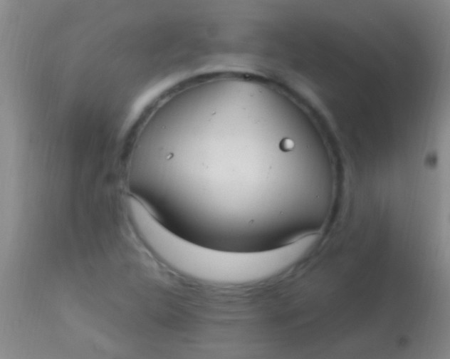 X0000113961312200910161954