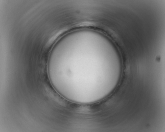 X0000113961313200910161954