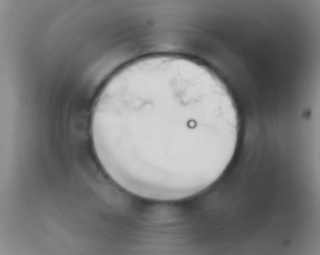 X0000113961314200910161954