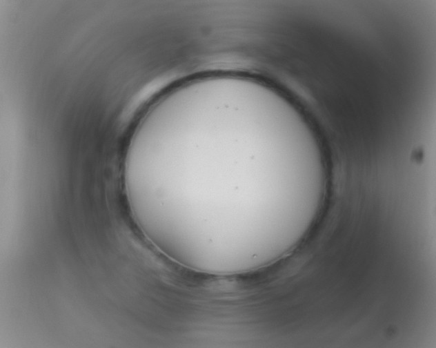 X0000113961315200910161954