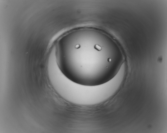 X0000113961316200910161954