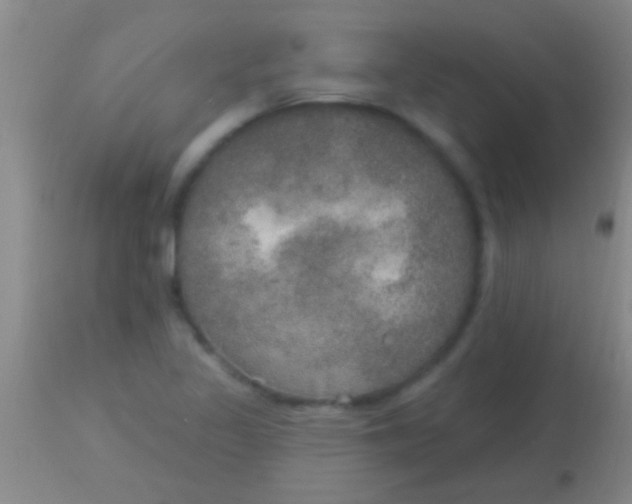 X0000113961317200910161954