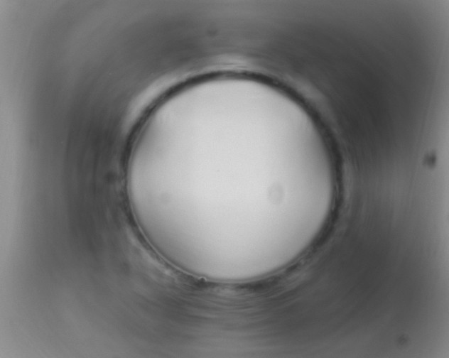 X0000113961318200910161954