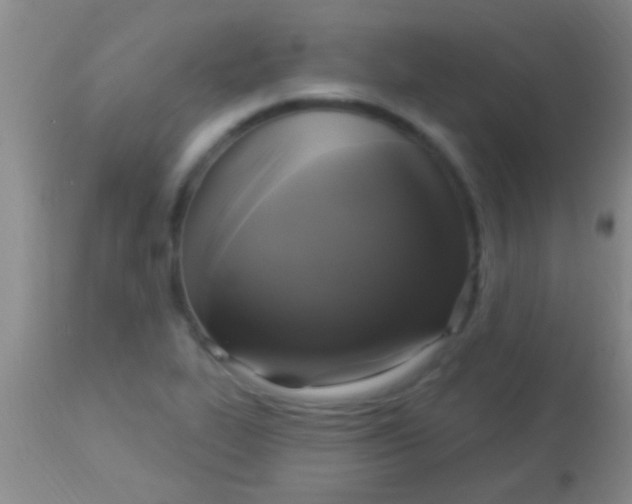 X0000113961319200910161954