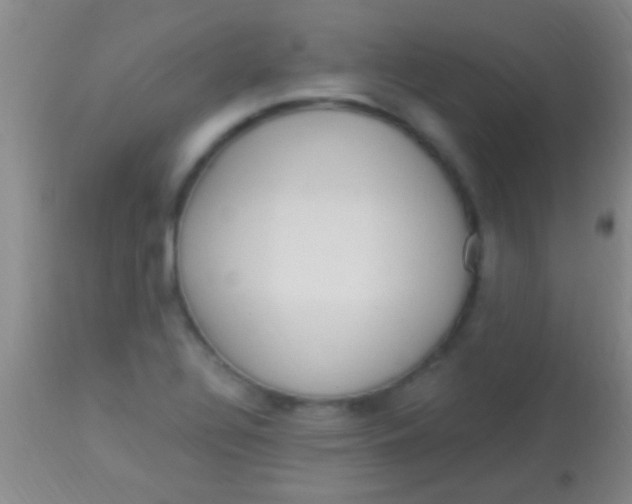 X0000113961320200910161954