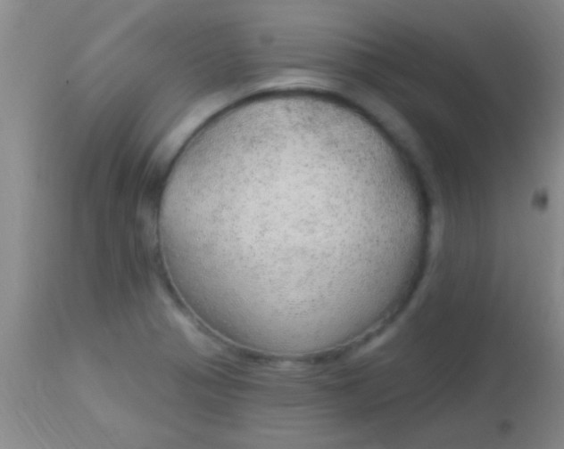 X0000113961321200910161954