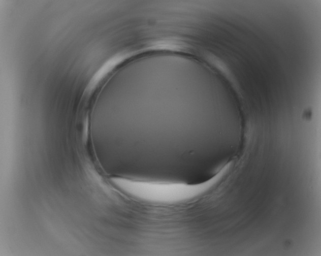 X0000113961323200910161954