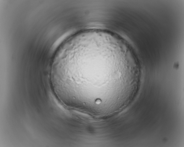 X0000113961325200910161954