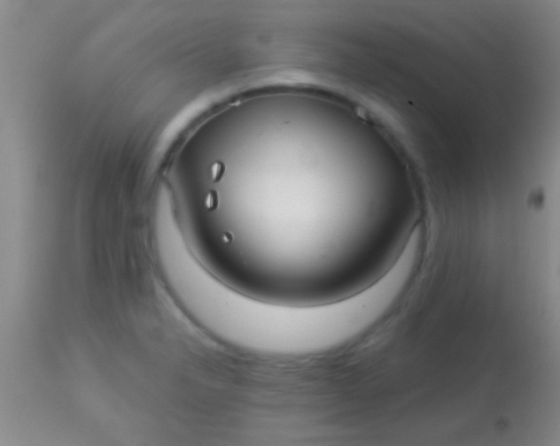 X0000113961326200910161954