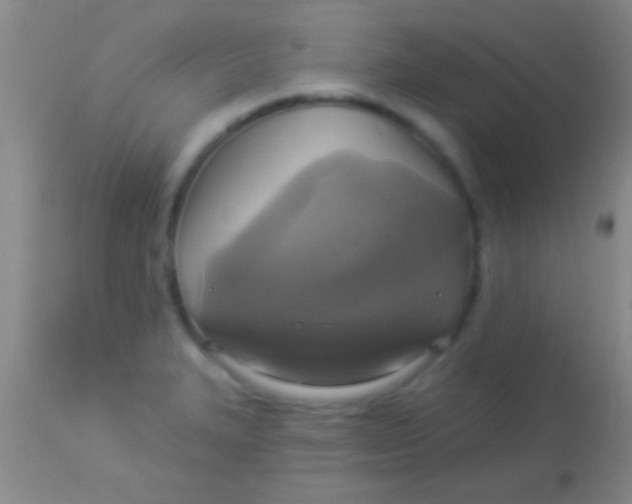 X0000113961327200910161954