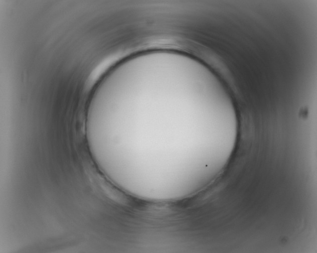 X0000113961328200910161954