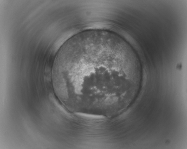 X0000113961329200910161954