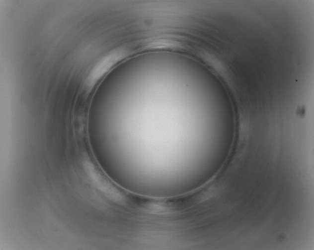 X0000113961330200910161954