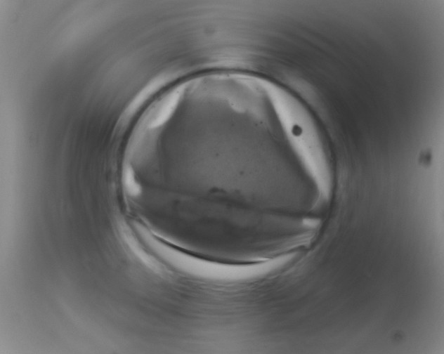 X0000113961331200910161954